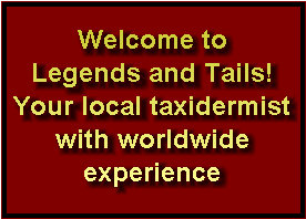 legends_and_tails001004.jpg
